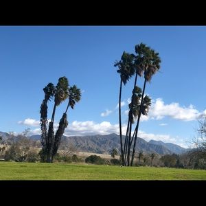 Meet your Posher, Tami